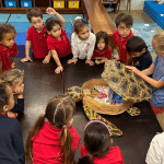 Shell-ebrity Book Signing & Family Snorkel Tour