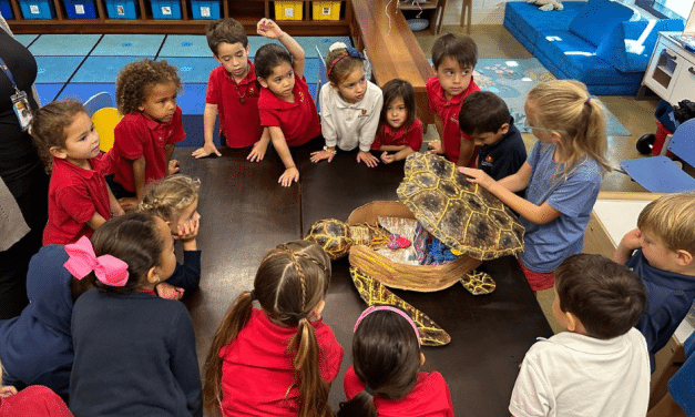 Shell-ebrity Book Signing & Family Snorkel Tour