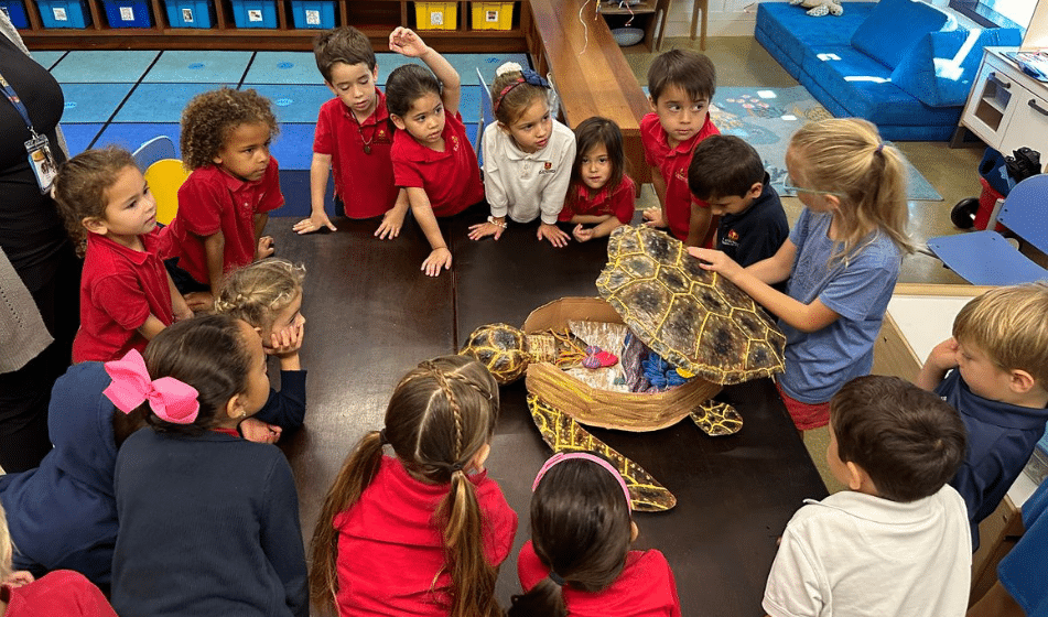 Shell-ebrity Book Signing & Family Snorkel Tour